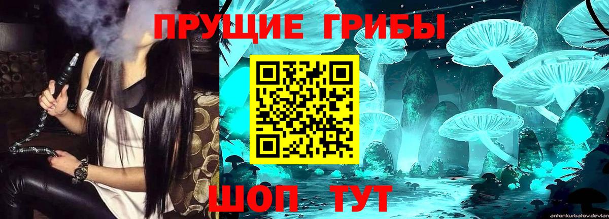 Краснодар  Псилоцибиновые грибы Psilocybine cubensis  Вход с VPN  Галлюциногенные грибы Psilocybine cubensis 